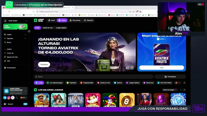 casinos / marcas