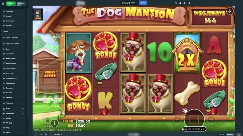 The Dog House Megaways